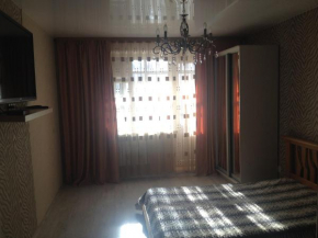 Apartment on Molodezhnaya 1